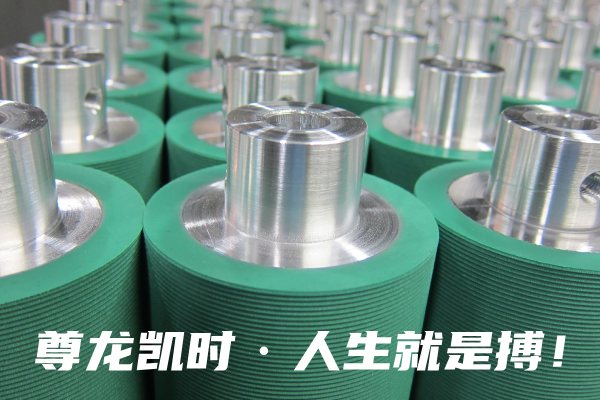 尊龙凯时·人生就是搏 尊龙凯时·人生就是搏